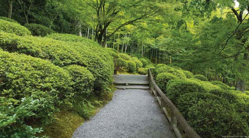 Rustomjee-Balmoral-Miyawaki